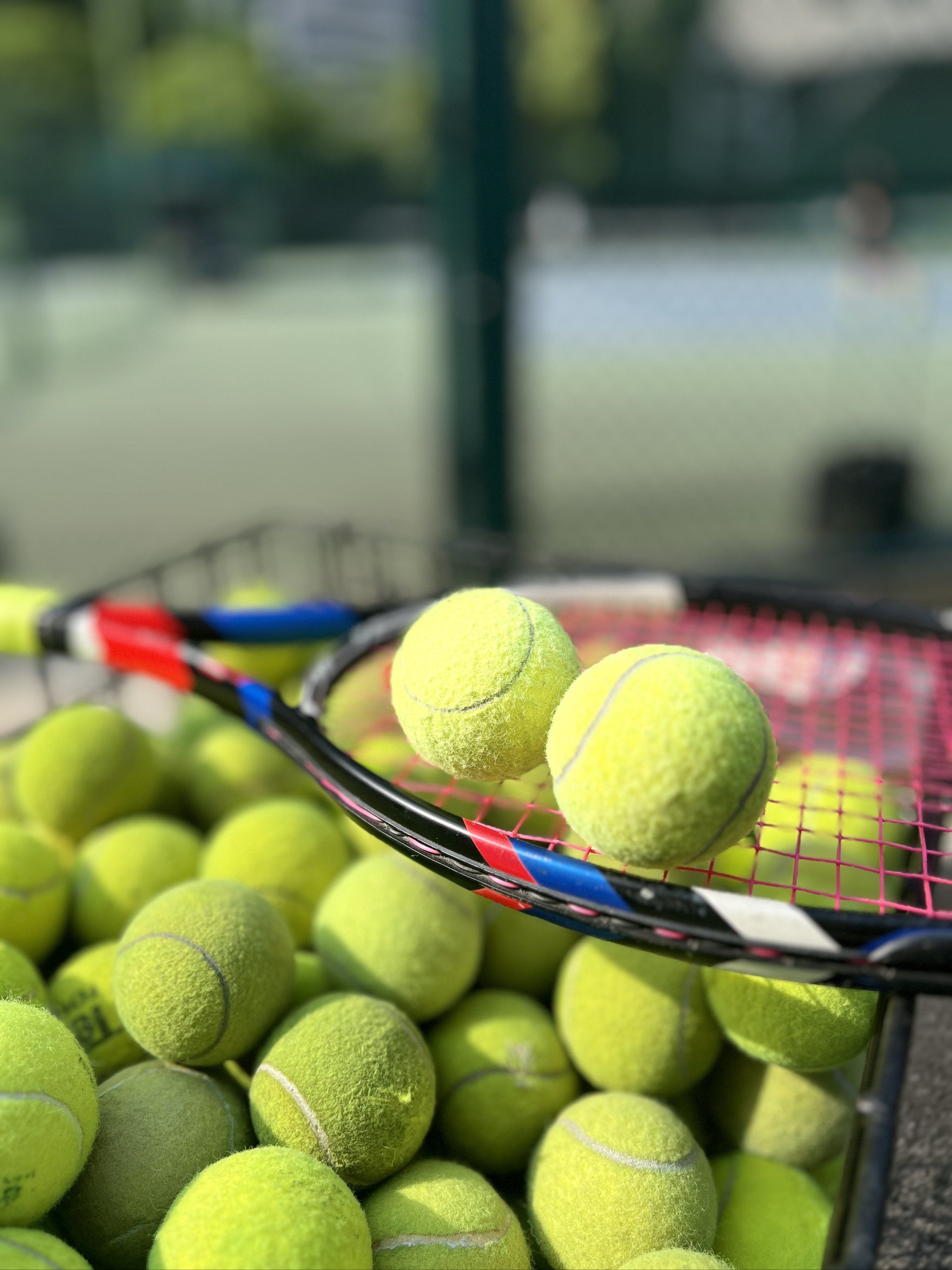 技术和体能 技术和体能