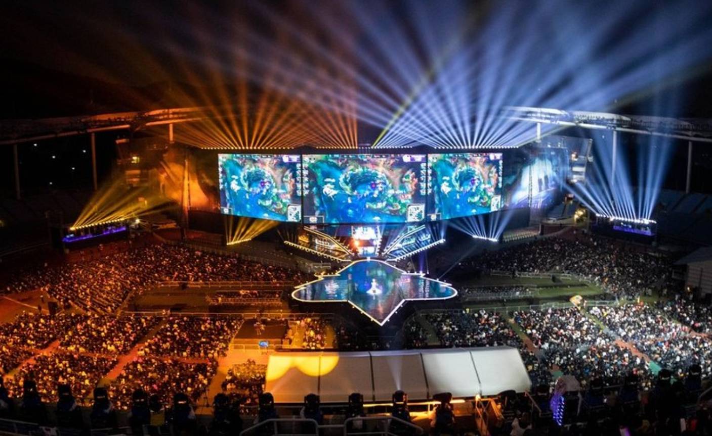 毛利率与净 毛利率与净