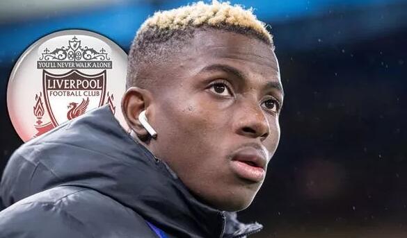 队友会自然 队友会自然